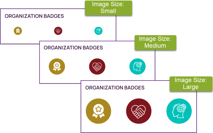 40_Organizations_OrgBadgesImageSizes.png