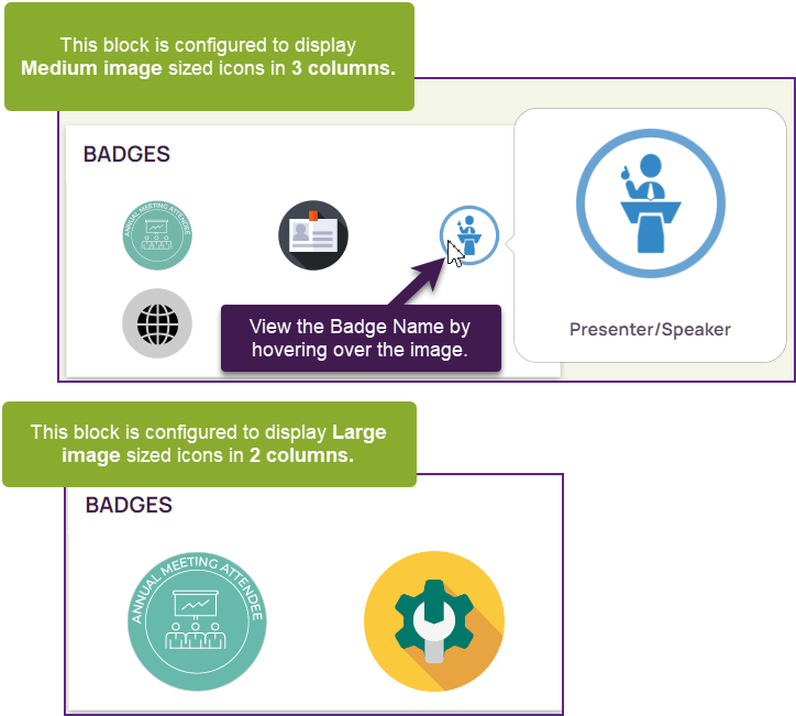 61_Profile_UserBadges.png